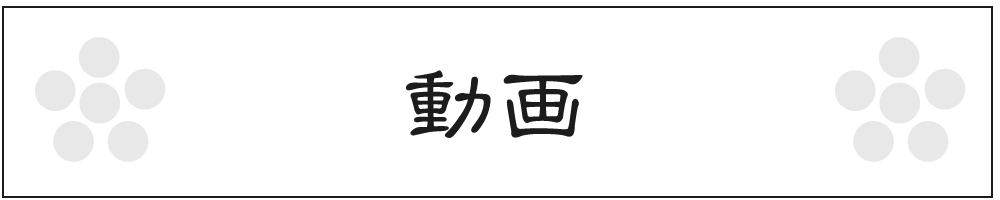 choice3_動画